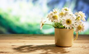 Daisies on wooden table, blur nature background, copy space